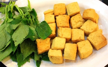Vì sao con người nên ăn uống thuần thực vật?
